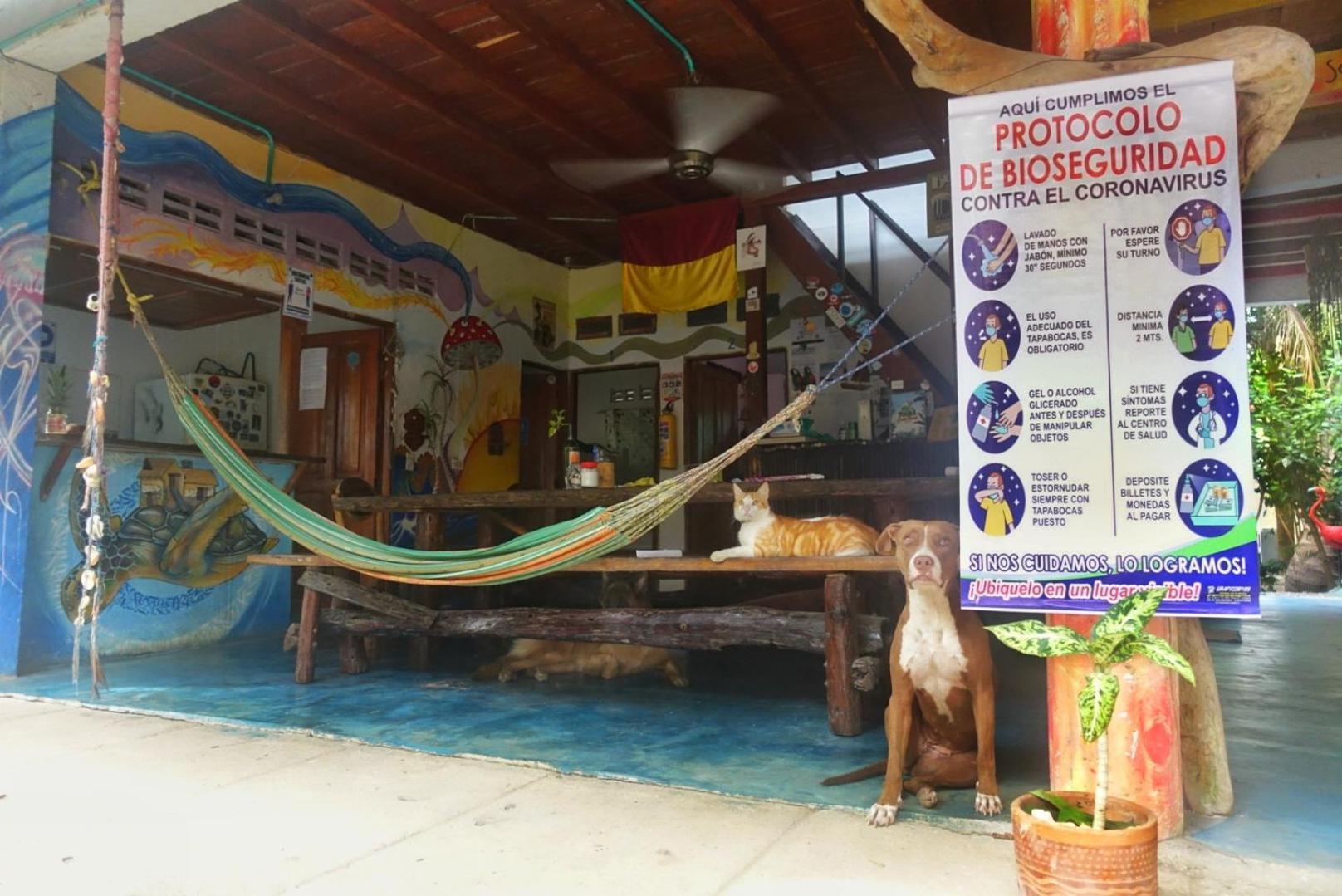 Casa Surf Mar Azul Hotel Palomino Ngoại thất bức ảnh