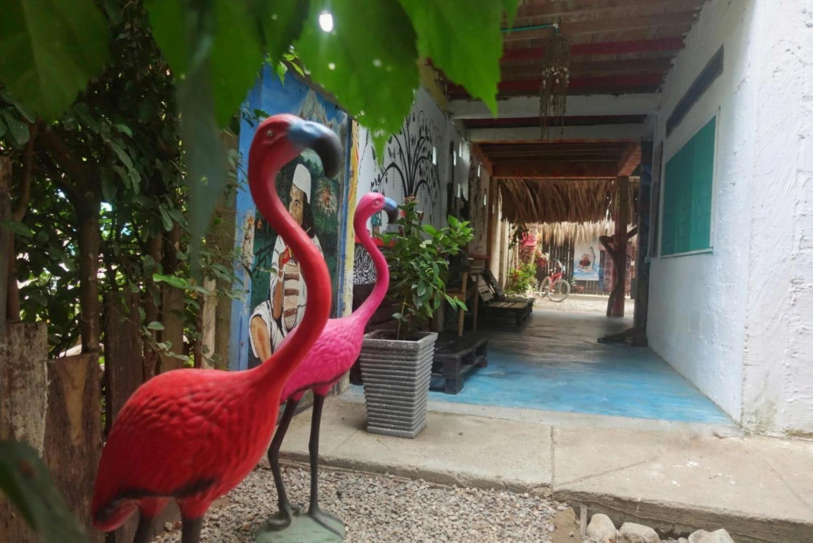 Casa Surf Mar Azul Hotel Palomino Ngoại thất bức ảnh